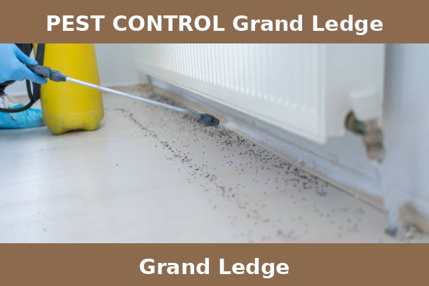 PEST CONTROL Grand Ledge